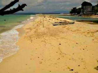 Pamilacan Island Tourist Inn And Restaurant Bohol Exterior photo